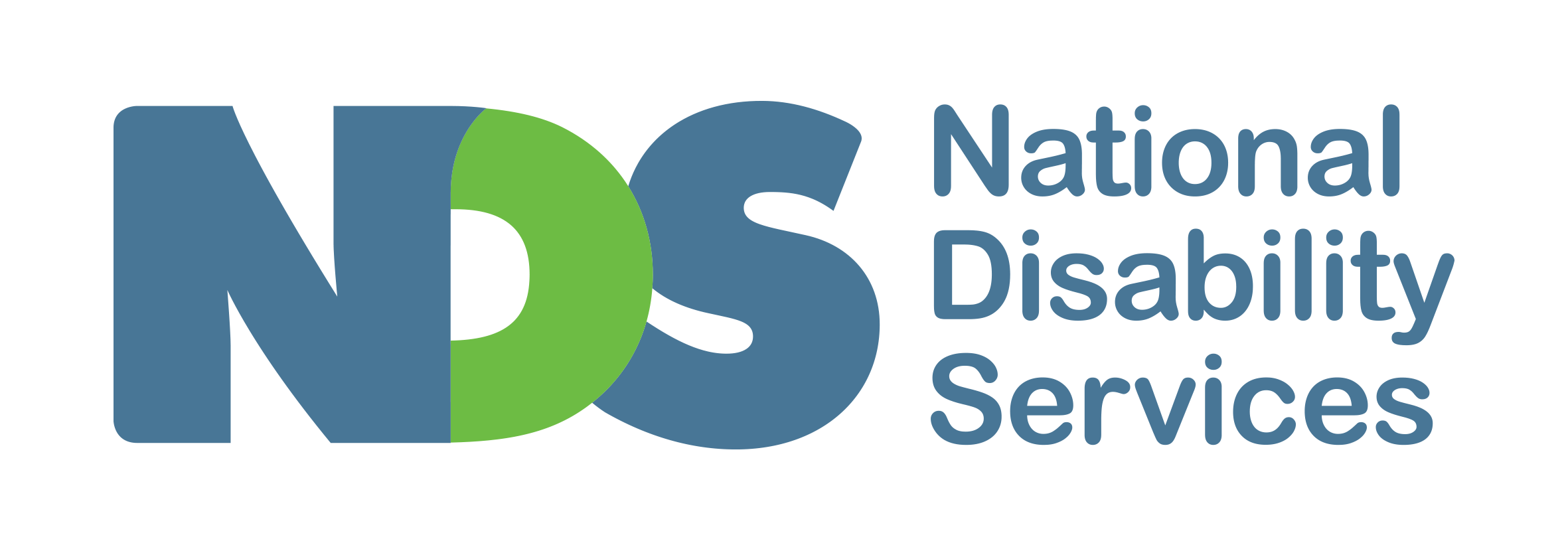 NDS Logo.png